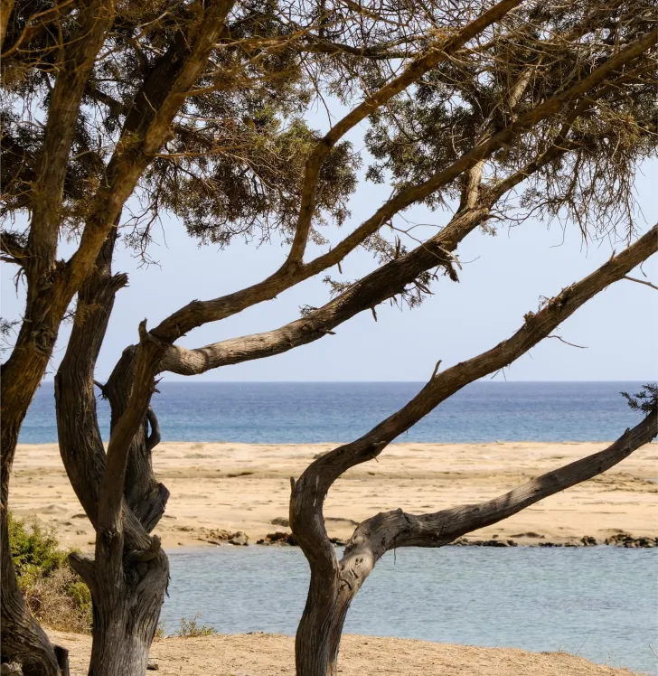 Isla Dore
